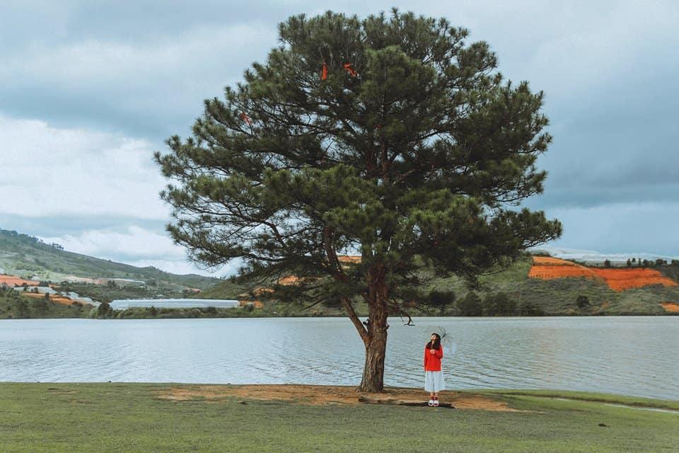 DALAT